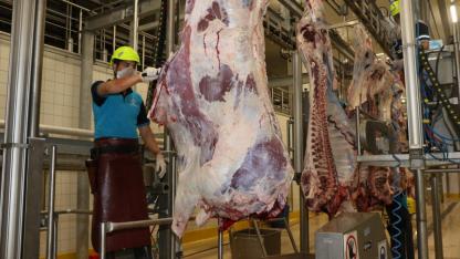 Kocaeli Büyükşehir, kurban kesim ücretlerini açıkladı