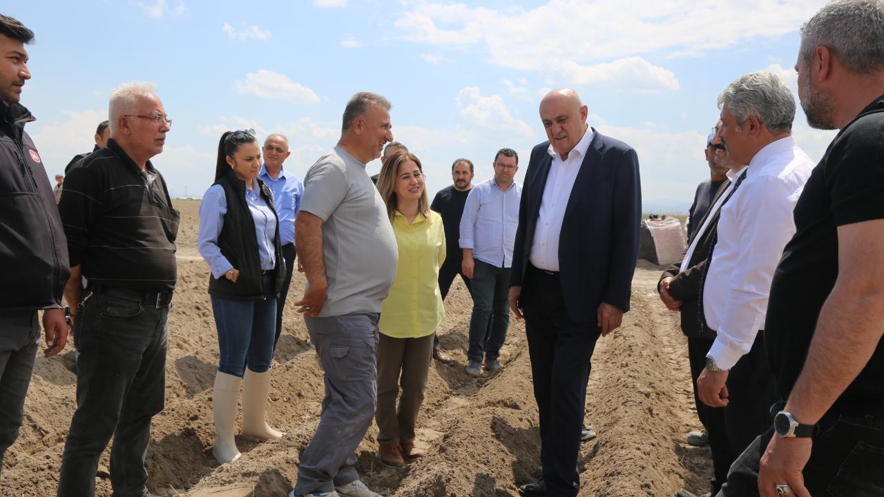 Konya Şeker gelecek yıl ithal patates tohumu kullanmayacak