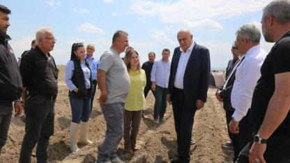Konya Şeker gelecek yıl ithal patates tohumu kullanmayacak