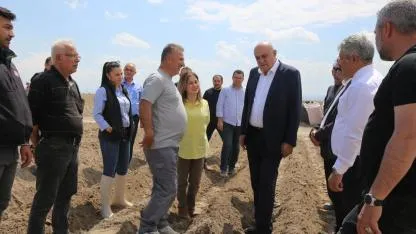 Konya Şeker gelecek yıl ithal patates tohumu kullanmayacak
