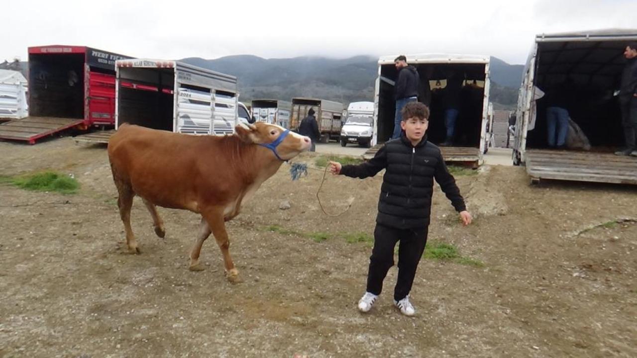 Kurban pazarının 13 yaşındaki celebi mühendislik hedefliyor