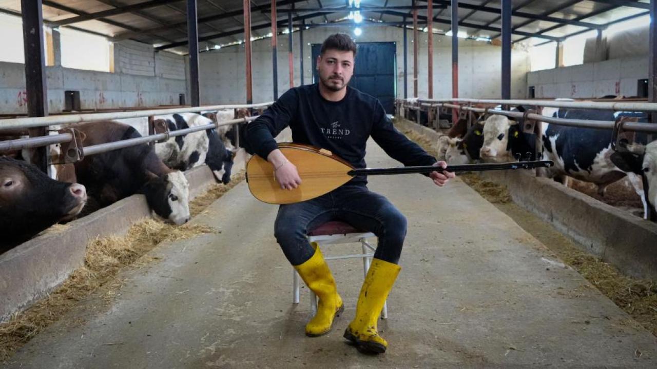 Neşet Ertaş hayranı besici kurbanlıklarına saz çalıyor