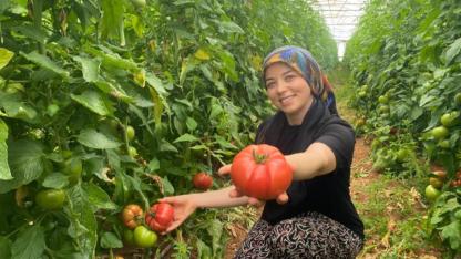 Serada domates üreten genç kadın çiftçi talepten memnun