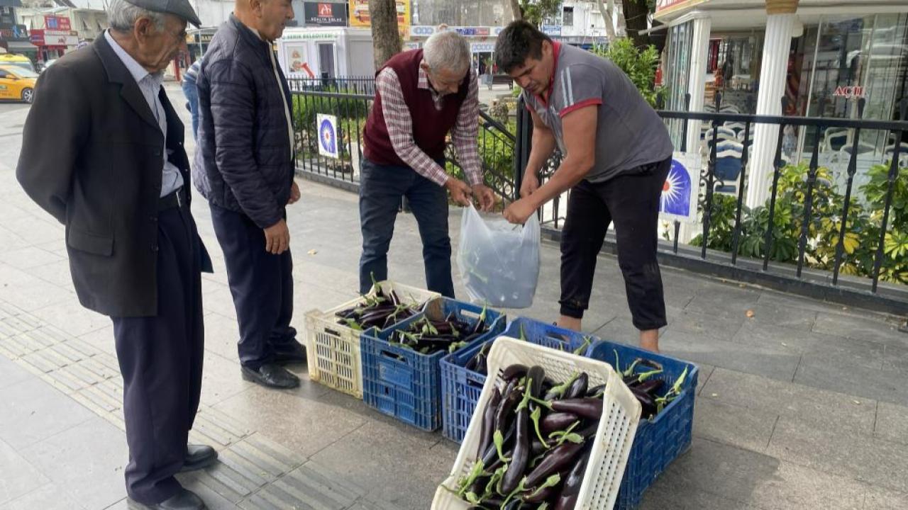 Üretici fiyatı yüzde 65 düştü çöp olacağına ücretsiz dağıttı
