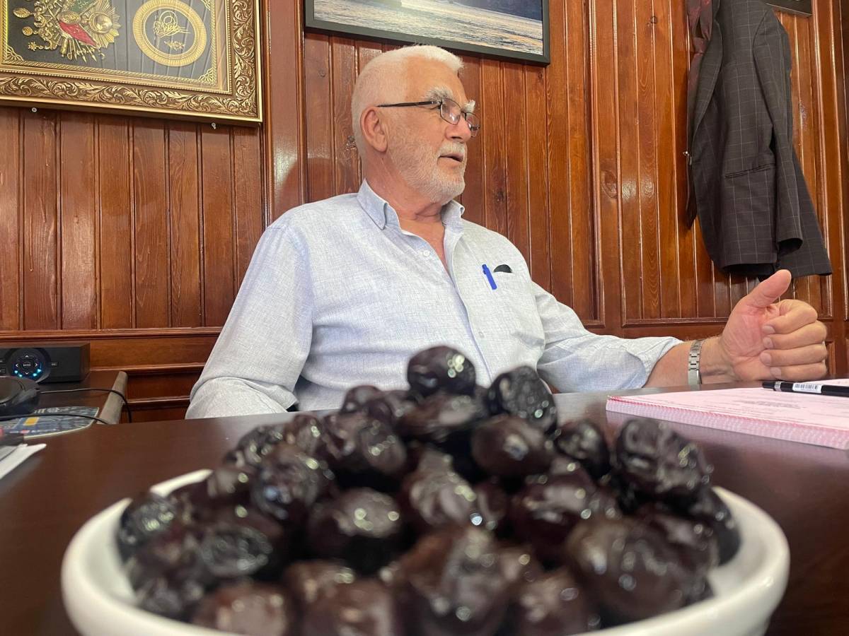 İsviçre sofralarının zeytini Katırlı Dağları'ndan gidiyor