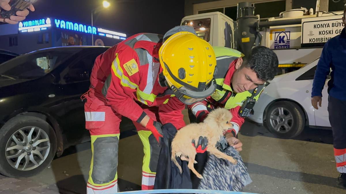 Kanalizasyonda kalan köpek 6 saatlik çalışmayla kurtarıldı