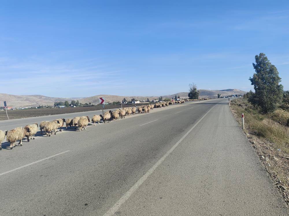 Bu kez trafik