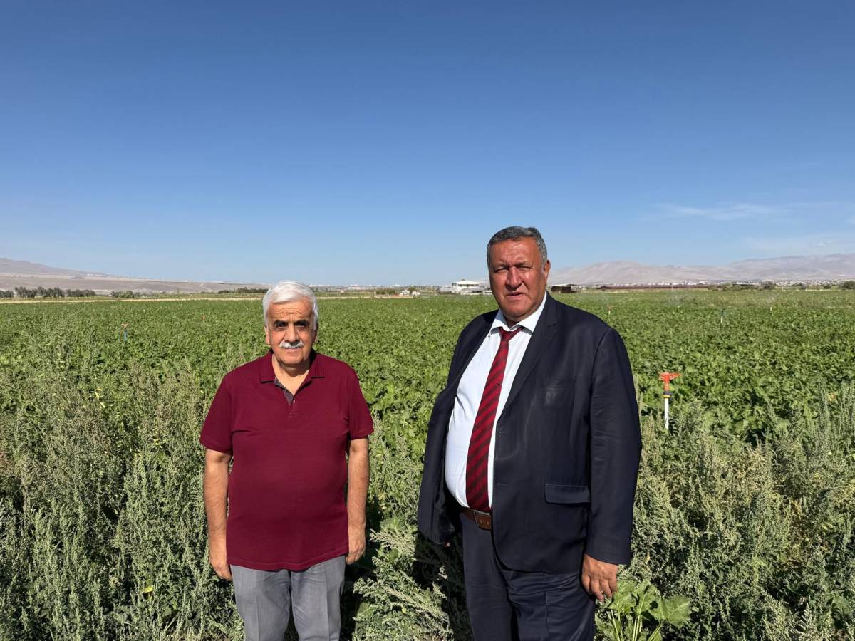 CHP'li Gürer: 