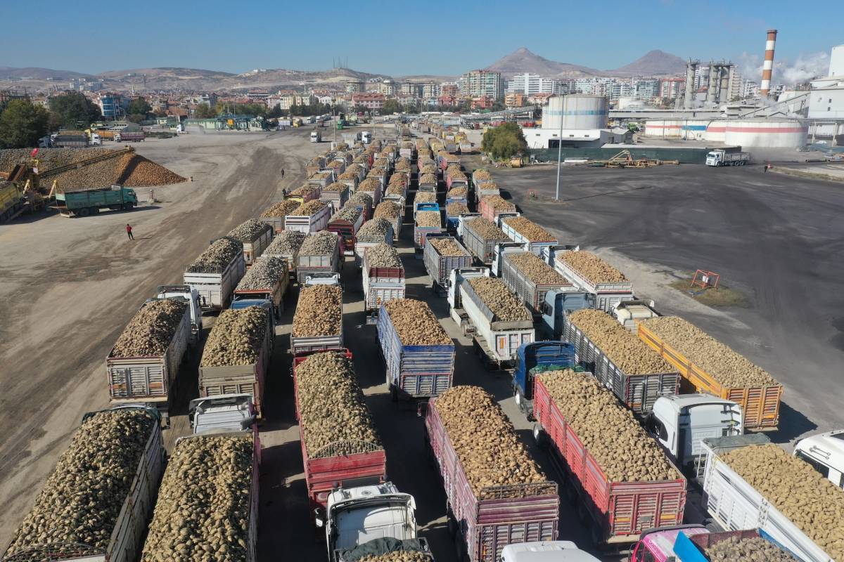 Kuraklık şeker pancarı üretimini kısıtlamayacak