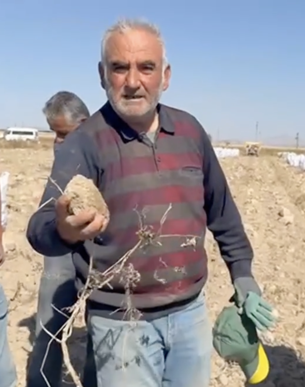 Patates üreticisi isyan etti: Çalışa çalışa battık