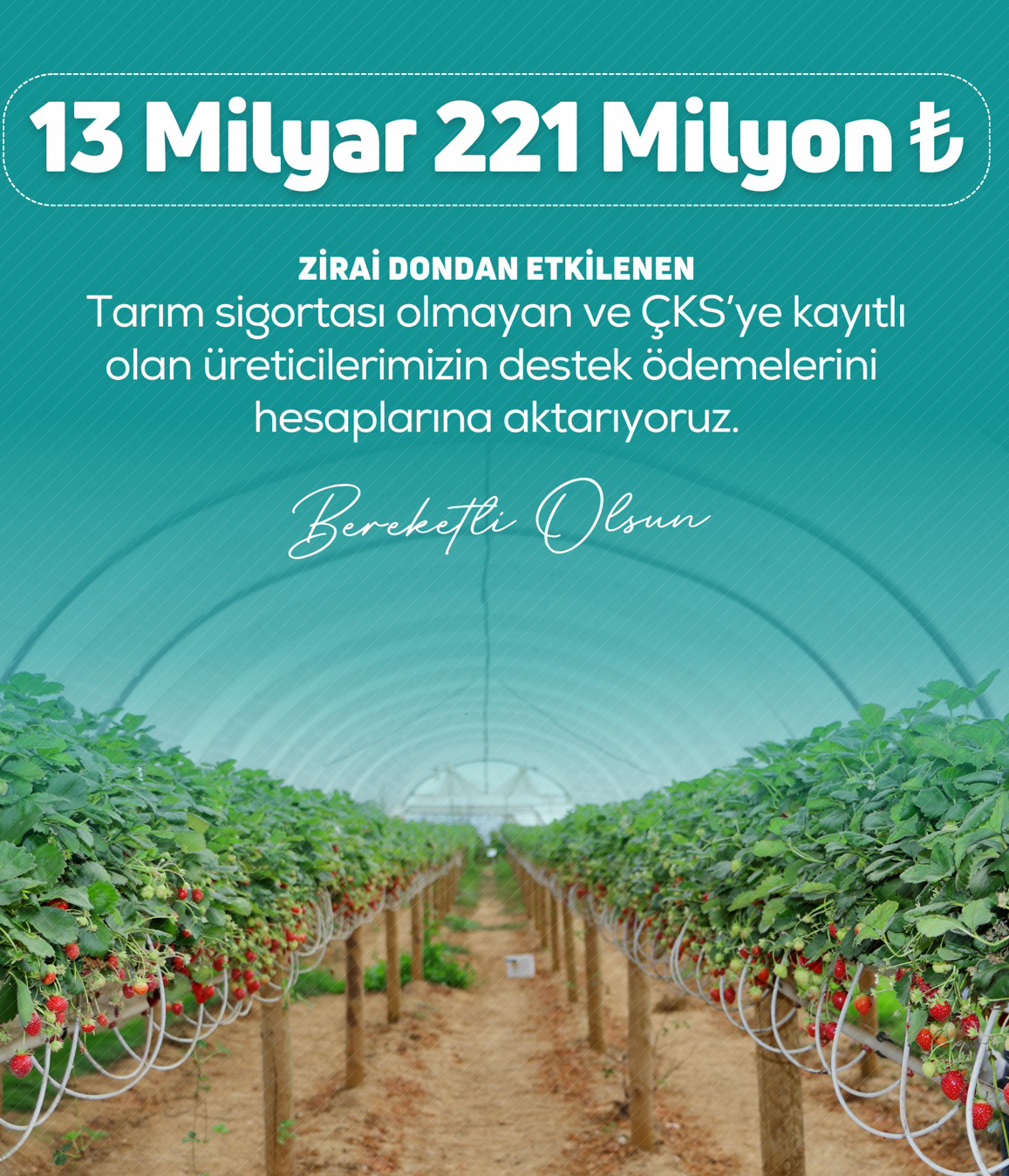 Zirai don destek ödemeleri başladı