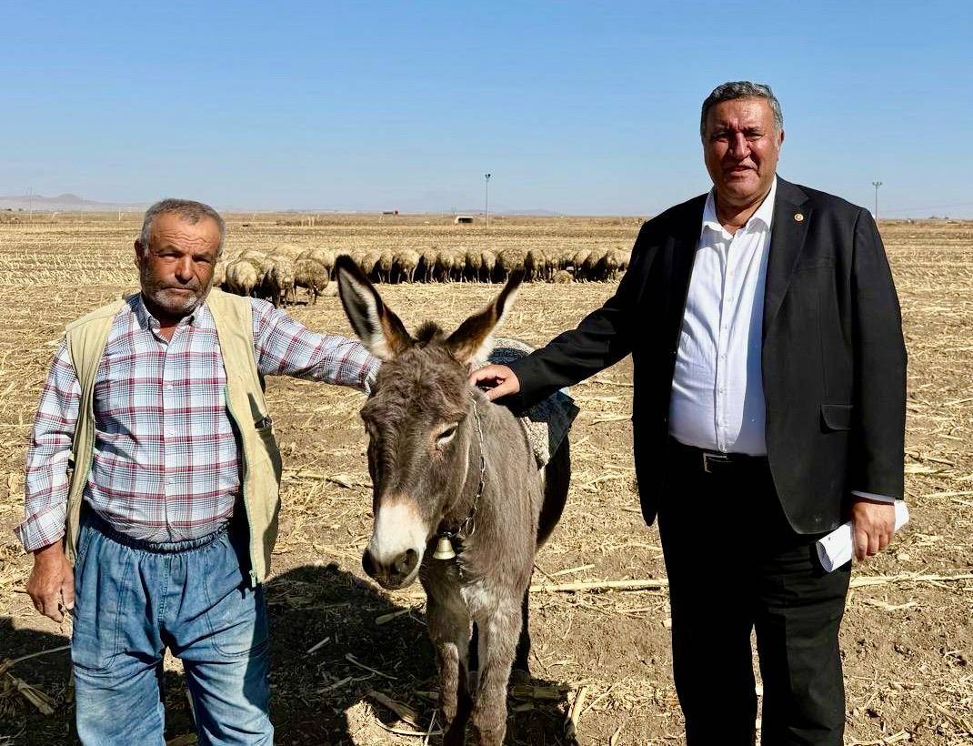 Besicinin feryadı: 25 inek 150 koyunum var ama geçinemiyorum