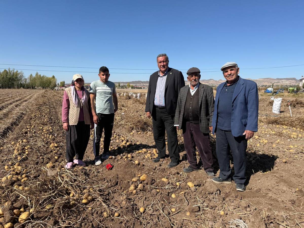 Patates üreticileri maliyet altında bile ürünü satamıyor
