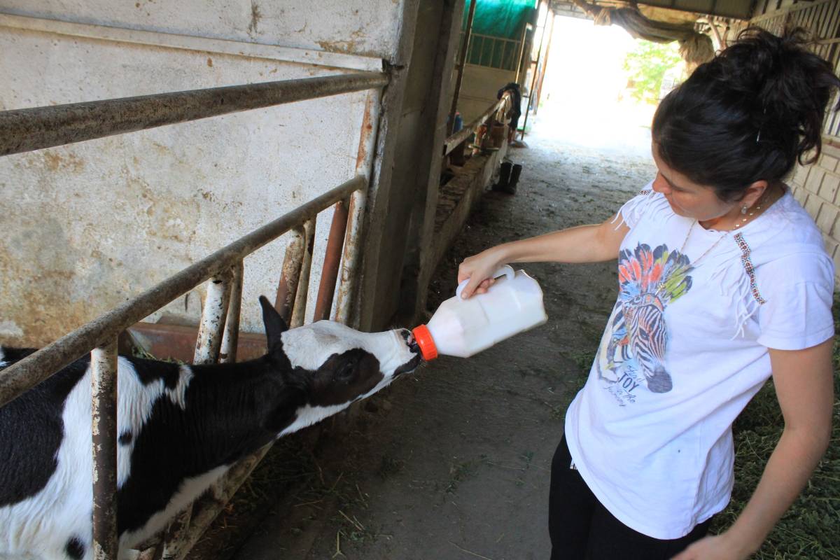 TÜSEDAD: Çiftçiler hezeyan ve hayal kırıklığına uğramıştır