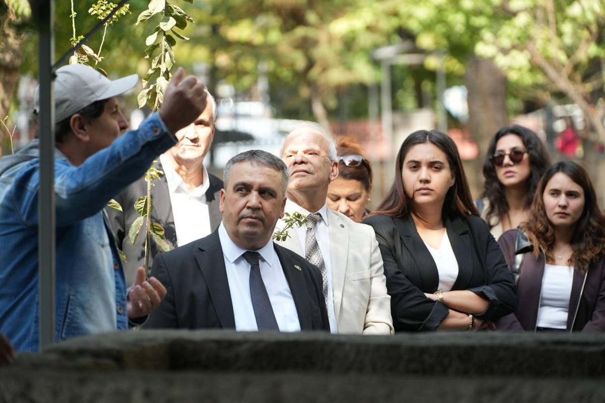 Akhisar'dan zeytin ve yağıyla ilgili iddia çok konuşulur