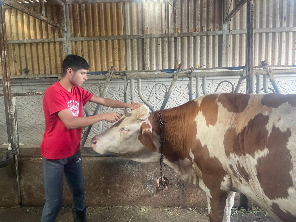 Çiftçinin tohum ve dikim maliyeti eylülde yüzde 6,76 arttı