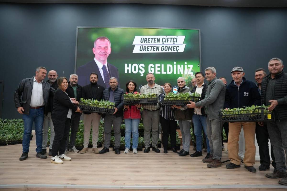 Gömeç'te 50 bin enginar fidanı dağıtıldı