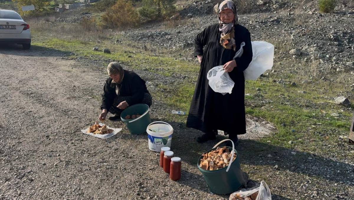 70 yaşındalar dağda tepede gençlere taş çıkartıyorlar