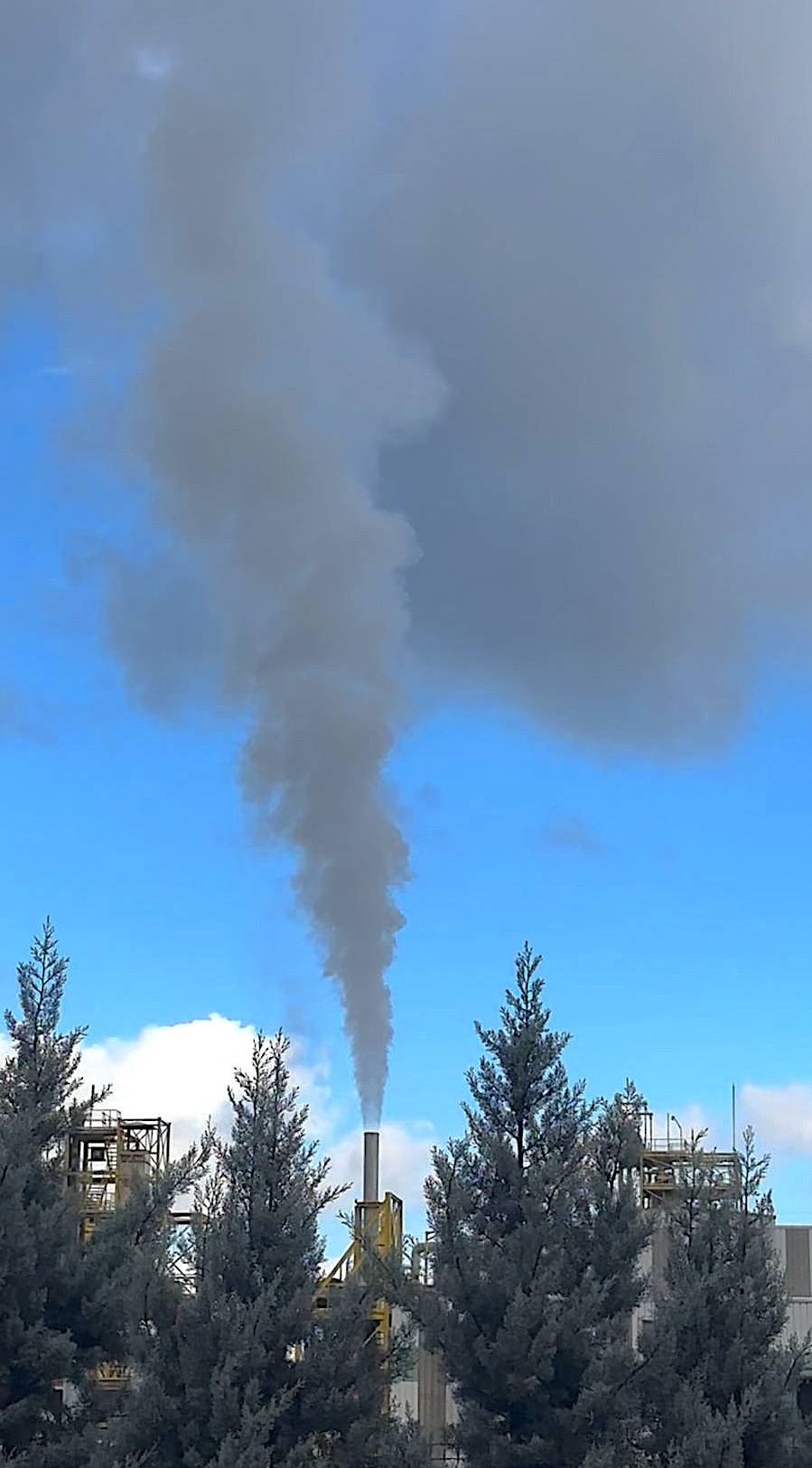 Cargill Bursa'dan çıkan dumanlar gökyüzünü griye boyadı