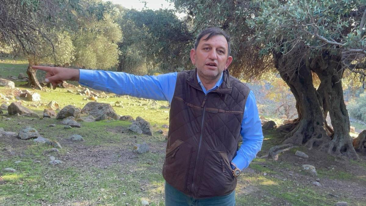 İspanya ve İtalya'dan sonra sadece Gökçeada'da yetişiyor