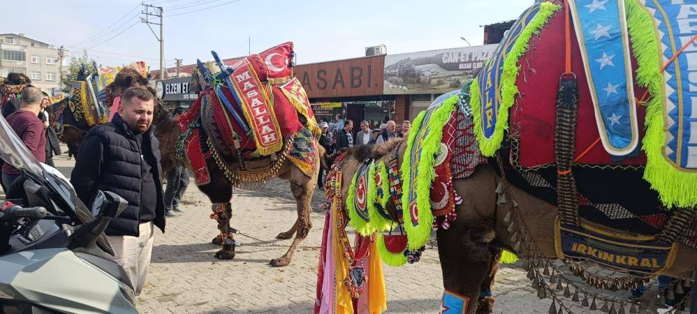 Buldan Deve Güreşleri şap nedeniyle iptal edildi