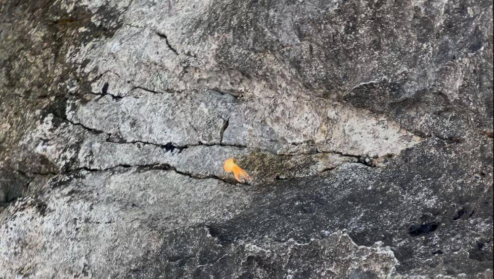 Eğirdir Gölü'nde açığa çıkan kayalıklar yanıyor