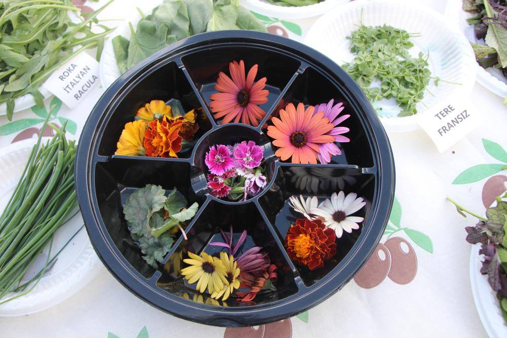 24 ülkeden topladığı tohumlarla köyünü renklendirdi