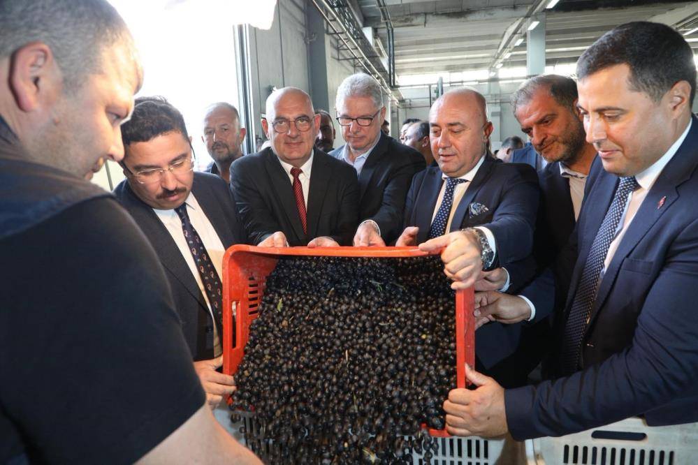 Marmarabirlik ortalama 115 liradan 8 bin ton ürün aldı