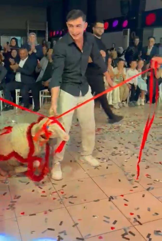 Damada düğünde kuzu hediye ettiler