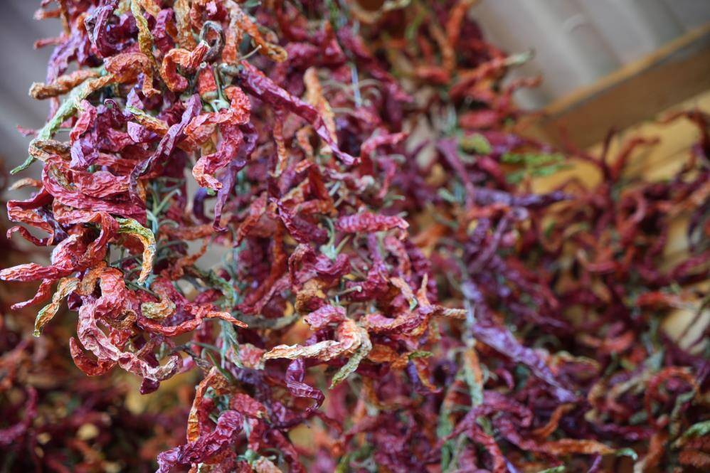 Osmanlı saray mutfağının gözdesiydi yeniden canlanıyor