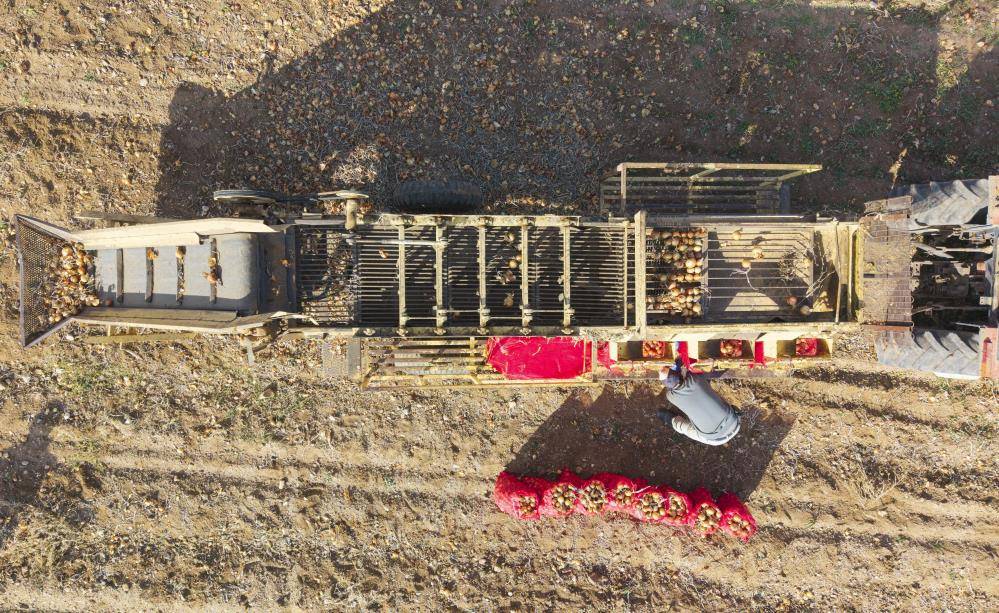 Soğan üreticisinden 