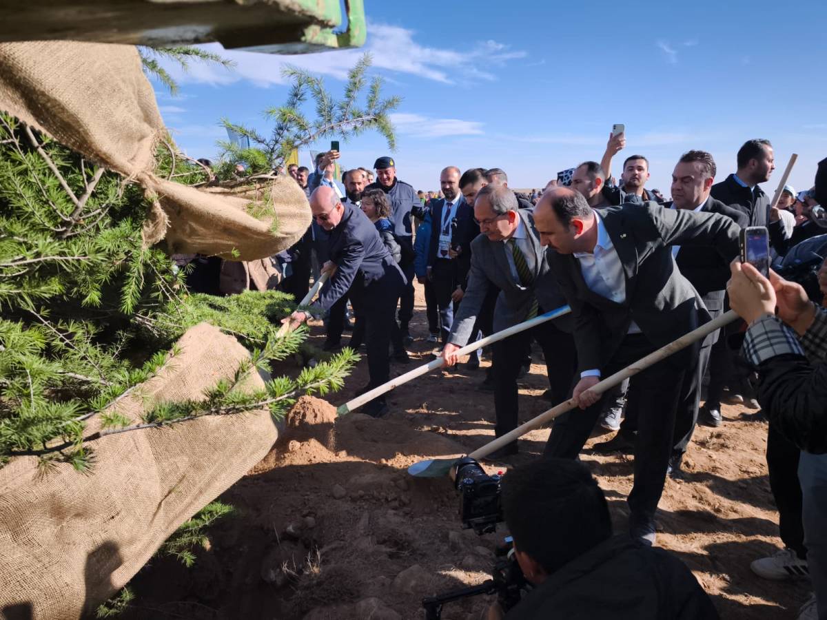 Konya Büyükşehir, 6 yılda 1 milyon 730 bin fidan dikti