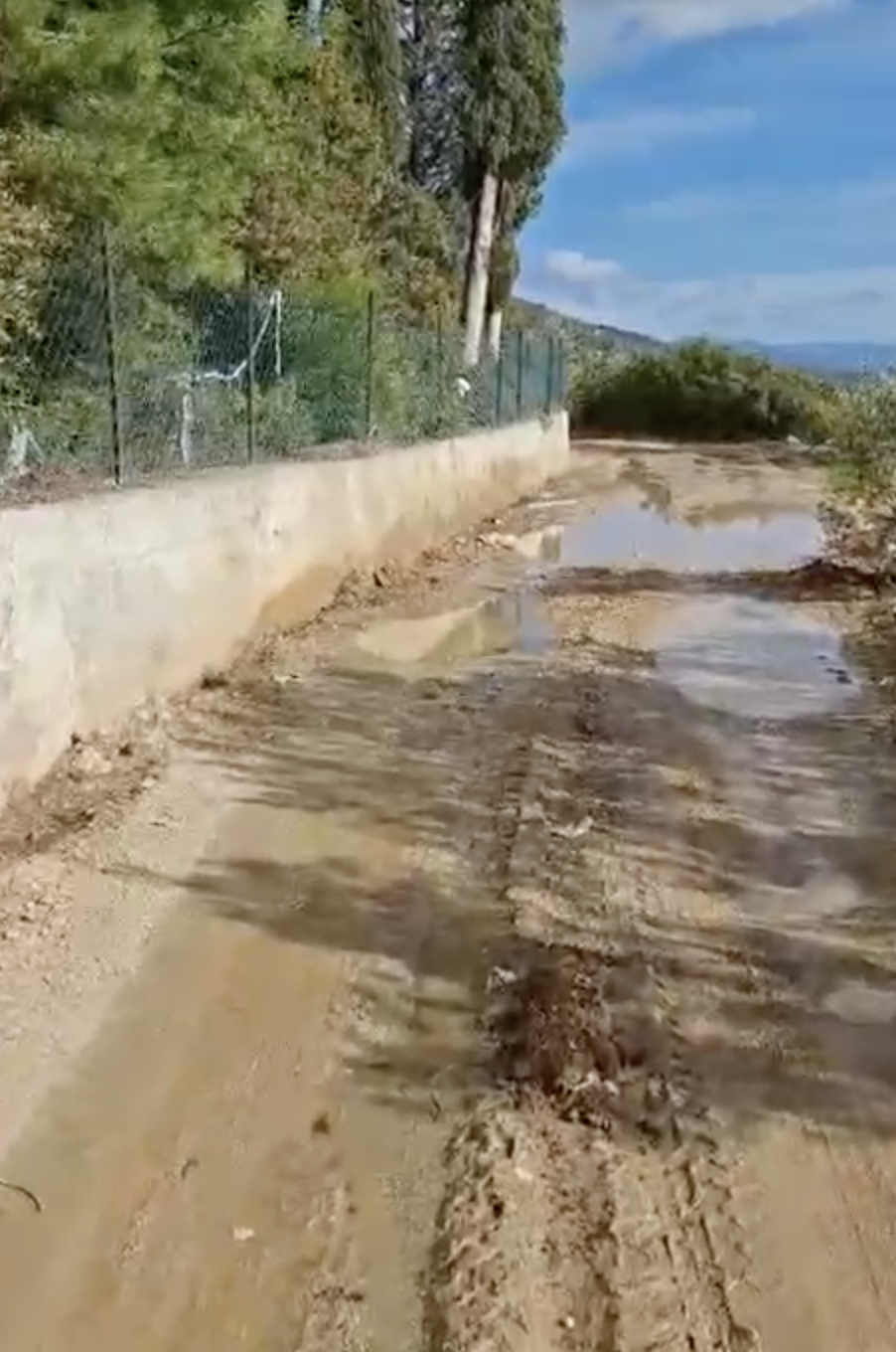 2 yılda 40 dilekçe verdiler; 4 çiçek saksısı alabildiler