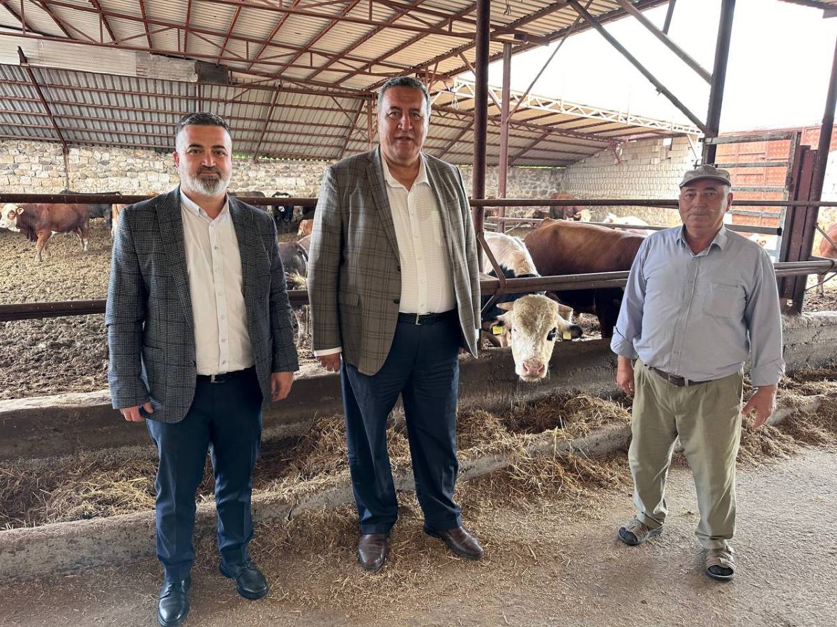 CHP'li Gürer: Şaptan çok hayvan öldü Bakanlık bilgi vermiyor