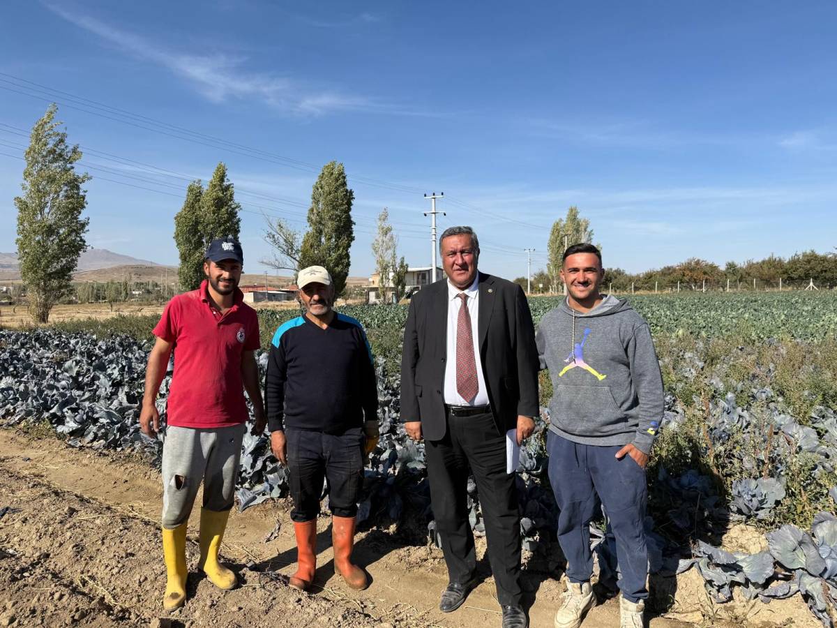 Patates ve mısırdan zarar etti şimdi karnabahar deniyor