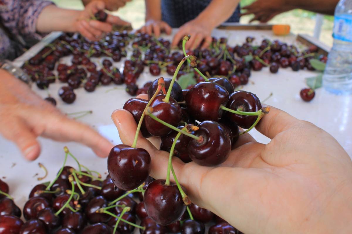 15 Aralık'ta okullarda