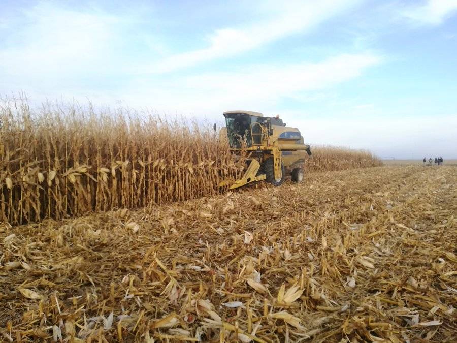 Milletvekili Ün'den TMO'nun ithalat açıklamasına tepki