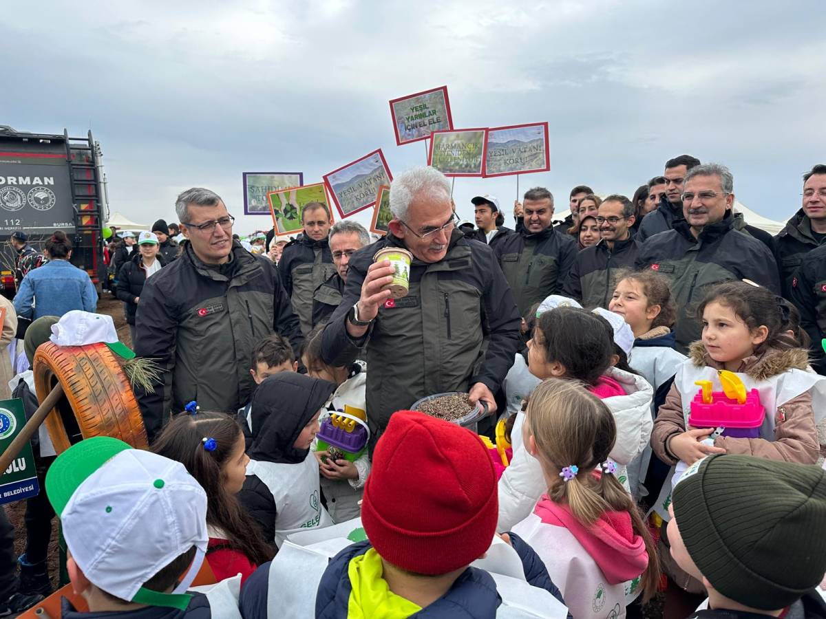 Harmancık'ta yanan 4 bin 256 hektar alan ağaçlandırılıyor