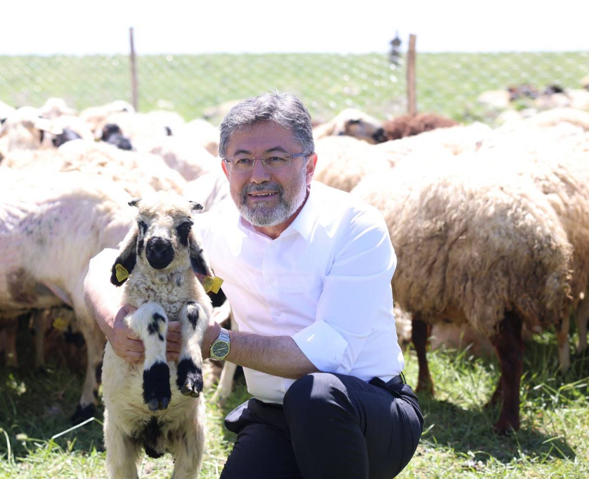 Bakan Yumaklı: Kırmızı ette ithalat, piyasa regülasyonu için