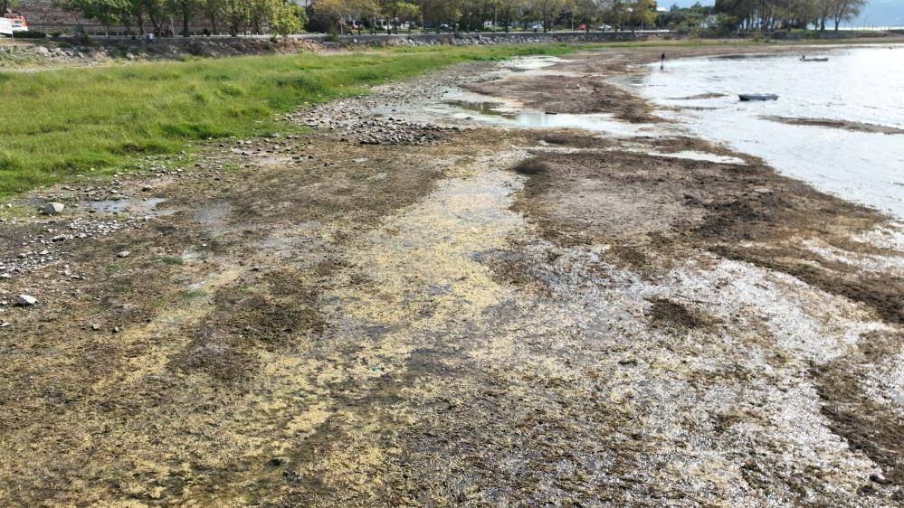 İznik Gölü kuruyor Cargill 