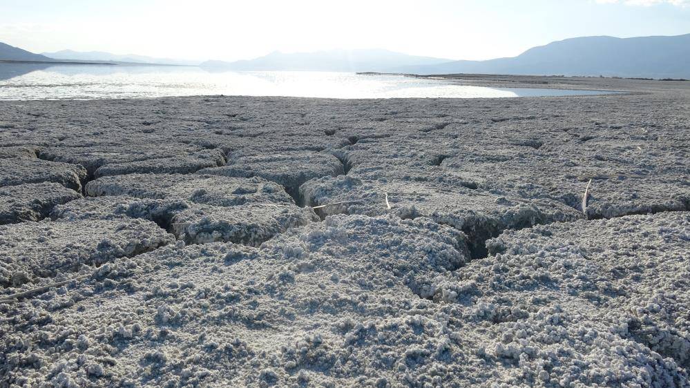 Yapaylarını kurduk doğallarını kurutuyoruz