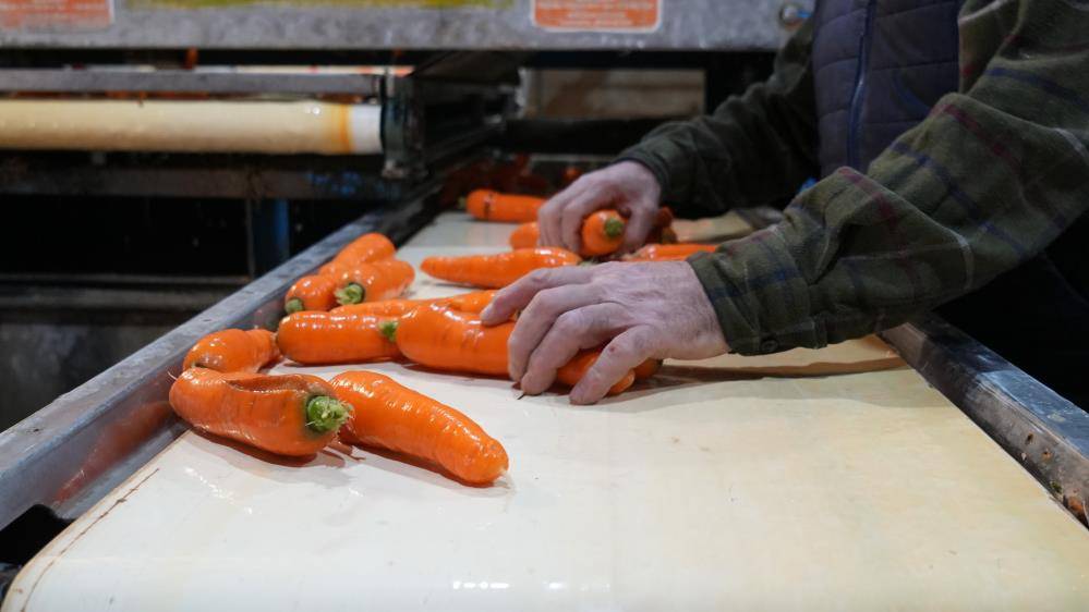 Üreticide düşüyor markette yükseliyor