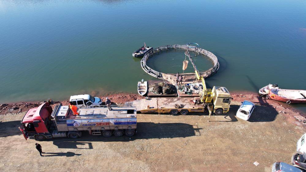 Tokat'ta yetişiyor Karadeniz'de büyüyor; Avrupa tüketiyor