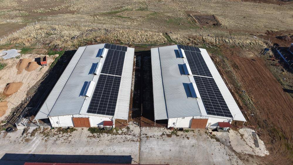 Devlet desteğiyle 10 yılda 300 büyükbaşlık çiftliği oldu