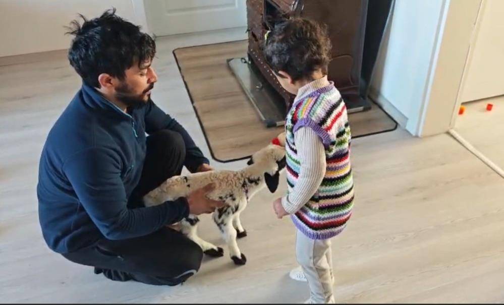 Kuzu ile 3 yaşındaki Ezo'nun arasından su sızmıyor