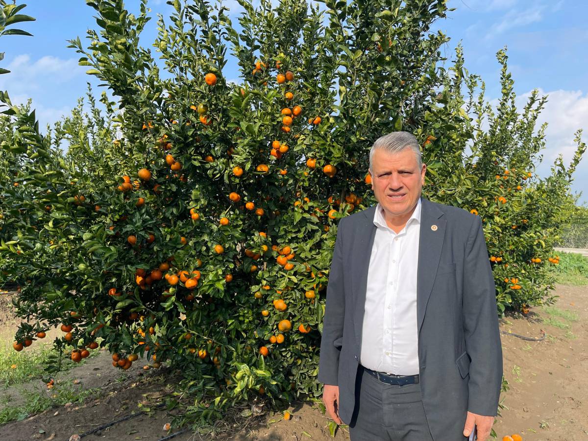 Adana çiftçisi 2025 yılı bitmeden bir darbe de doludan yedi