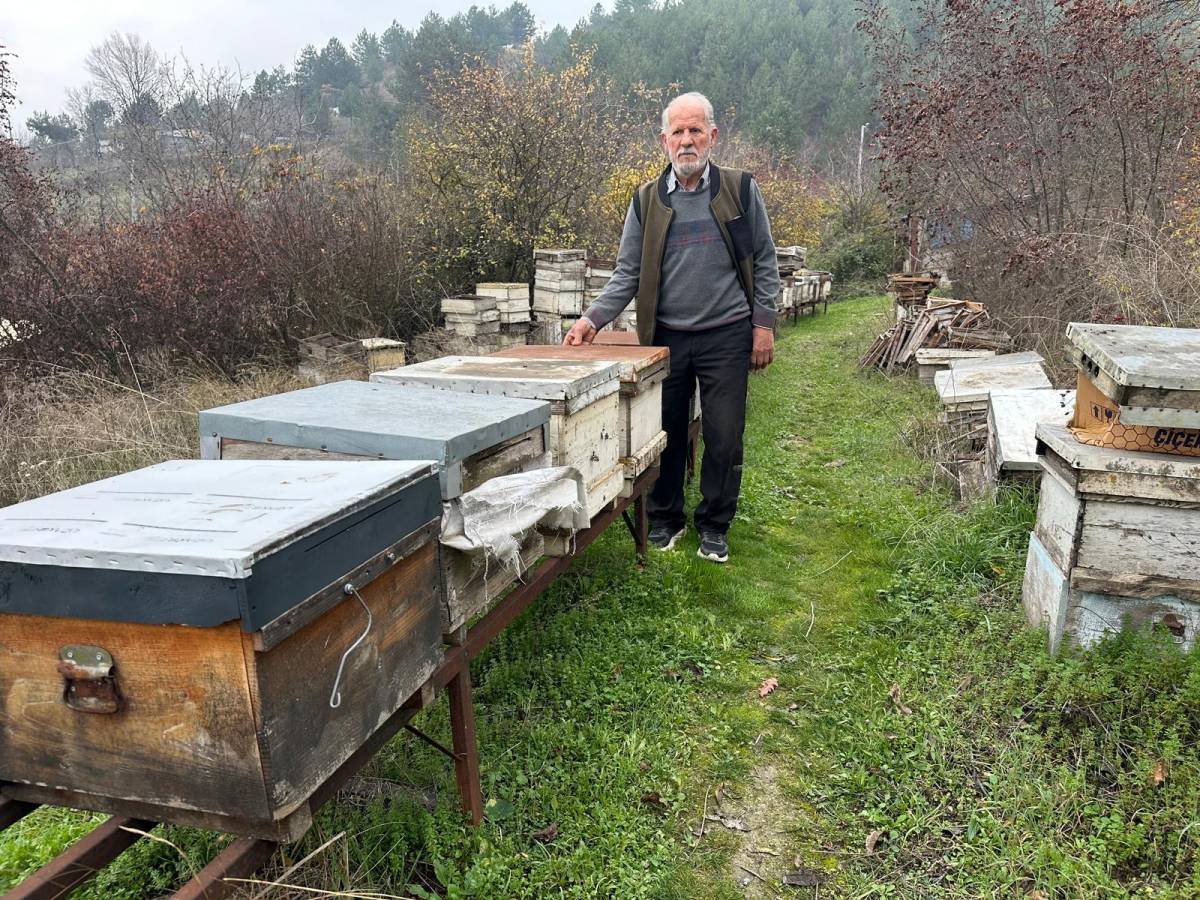 Zirai ilaç yüzünden milyonlarca arısı kovana dönemeden öldü