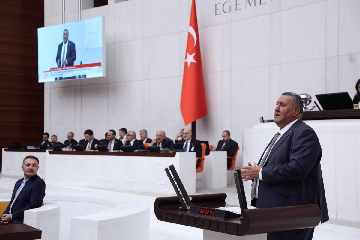 CHP'li Gürer, depolardaki patates için çağrıda bulundu