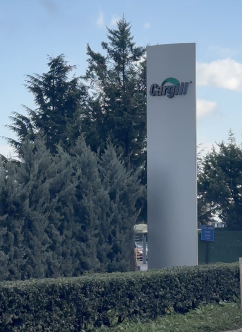 İznik Gölü kuruyor Cargill 