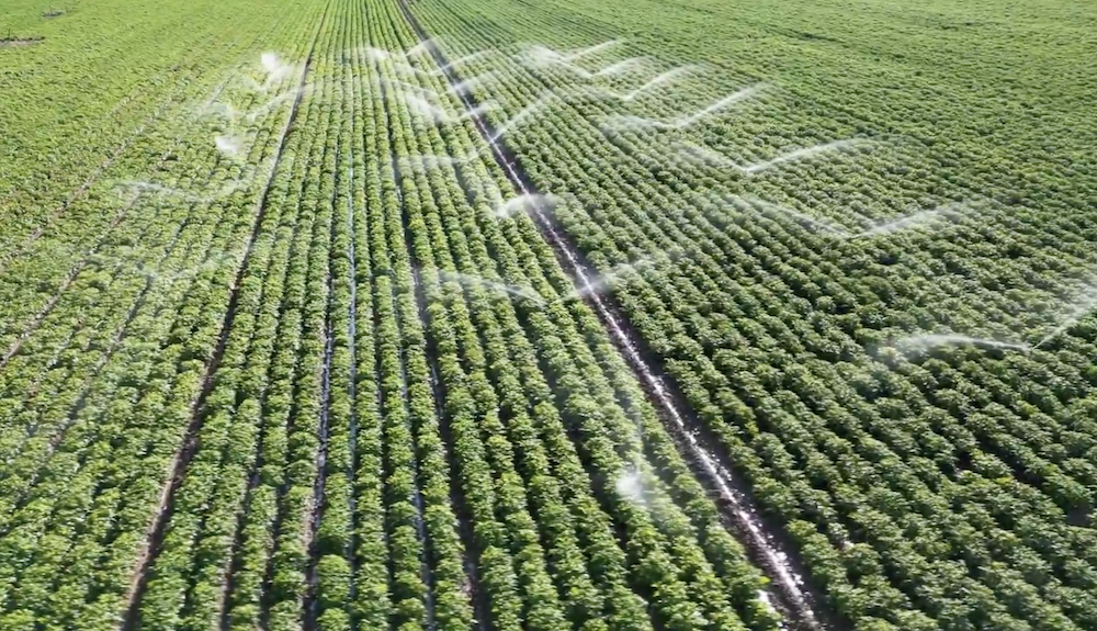 Elazığ'daki Uluova Sulama Projesi bölge tarımına güç katacak